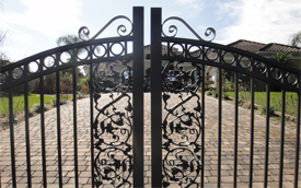Ornamental Iron Gate